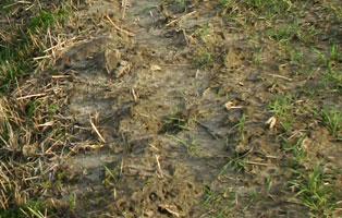 Ackerboden Ackerboden